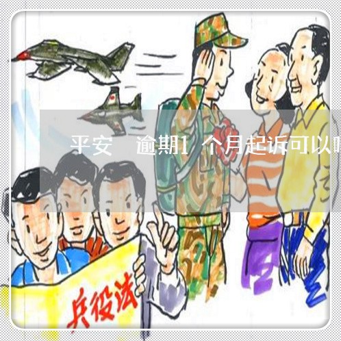 平安 逾期1个月起诉可以吗 平安 逾期1个月起诉可以吗